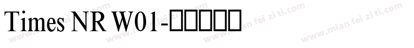 Times NR W01字体转换